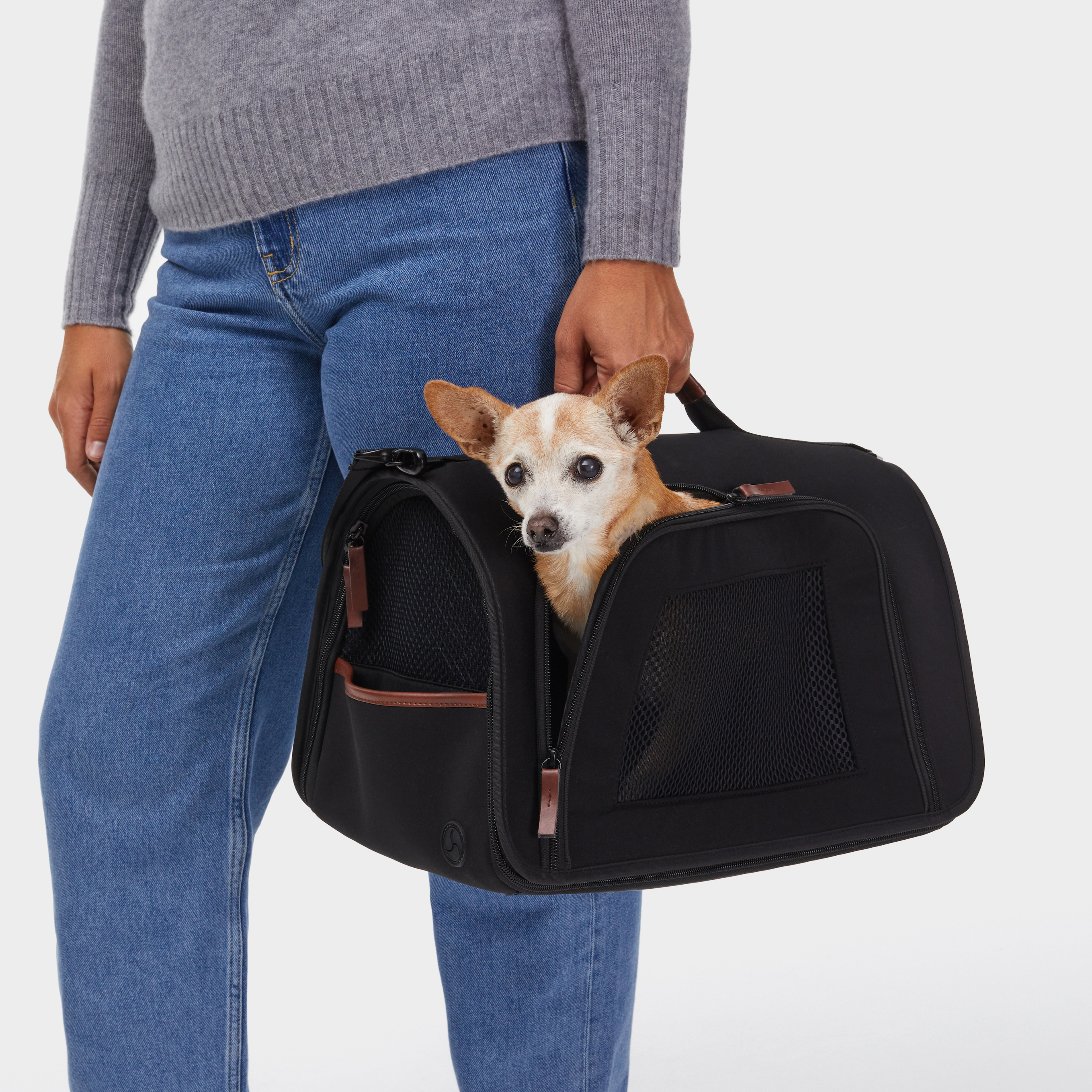 Travel Pet Carrier   369cdae2 F305 4b63 A323 2a9c6a238889 